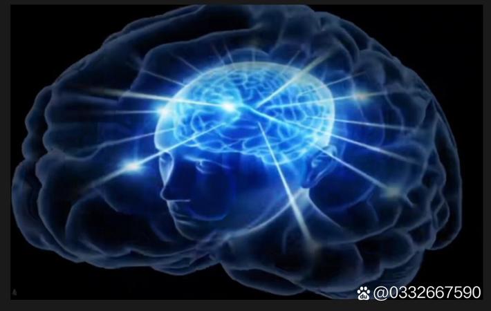 91黑料 - 选秀节目惊人内幕:某选手被曝与导师有不正当关系 选秀节目惊人内幕:某选手被曝与导师有不正当关系
